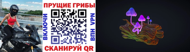 Купить где  Ленск  Псилоцибиновые грибы GOLDEN TEACHER 