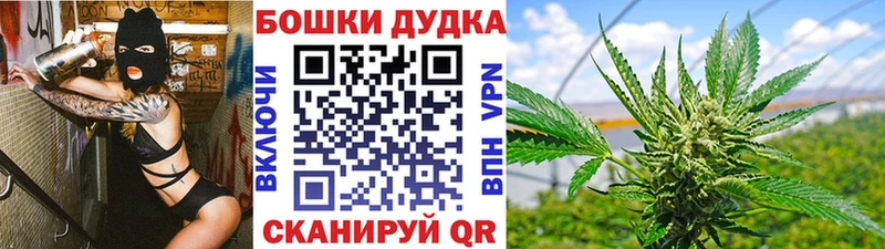 Купить закладки  Ленск  Бошки марихуана марихуана 